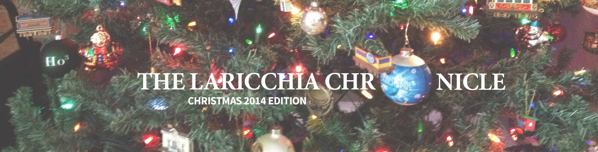 christmas-newsletter-header-2014
