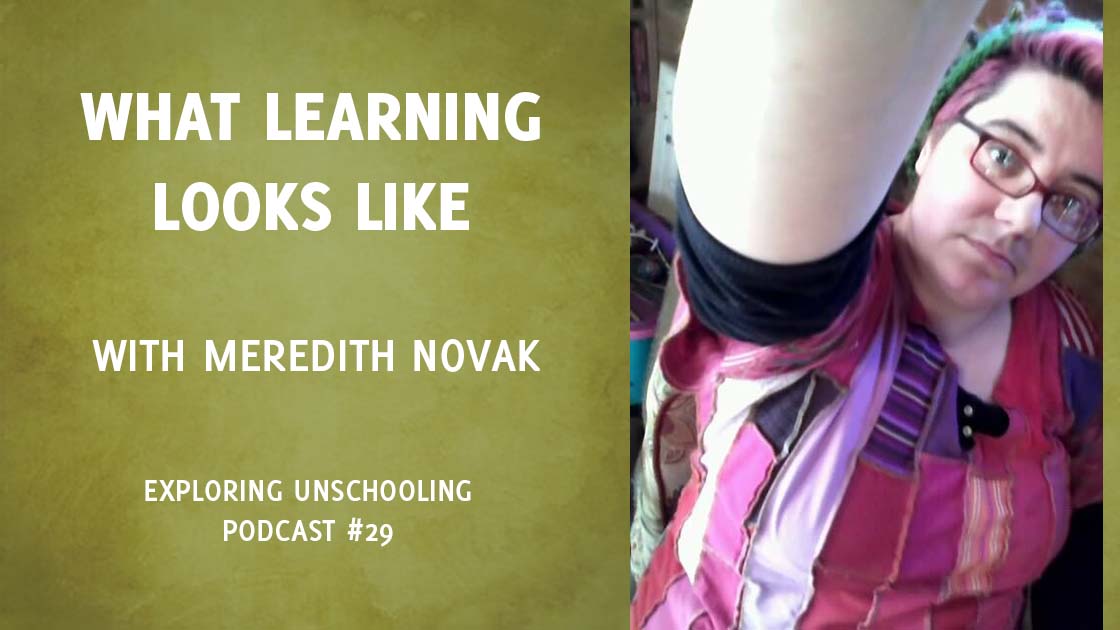 Pam chats with Meredith Novak about what learning looks like with unschooling.